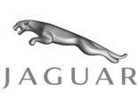 Jaguar为化妆品
